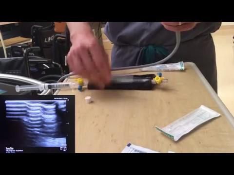 Silicone-shelled ultrasound phantom