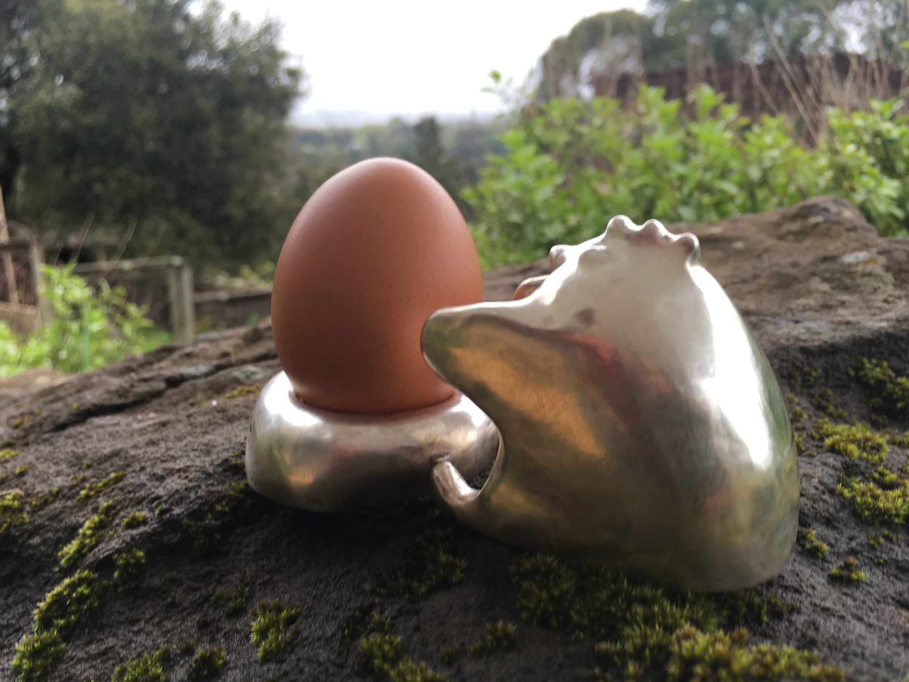 Hen